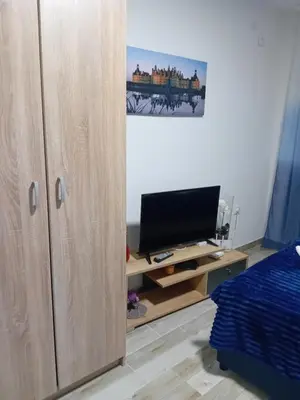 a bedroom with a cabinet and a tv and a bed at Apartman i Studio Nikolas in Soko Banja