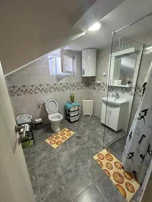 a bathroom with a shower and a toilet and a sink at Apartman i Studio Nikolas in Soko Banja
