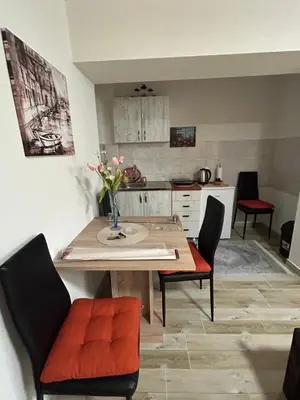 a kitchen with a table and two chairs and a table and a kitchen at Apartman i Studio Nikolas in Soko Banja