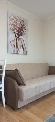 a couch in a living room with a painting on the wall at Studio Isidora in Vrnjačka Banja