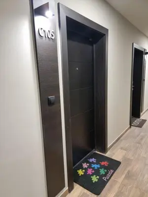 a bathroom with a cbs elevator with a rug in front of it at Apartman 