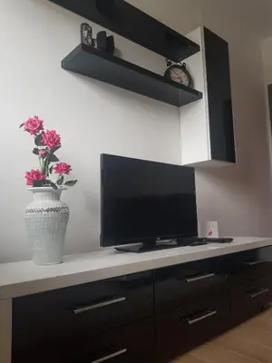 a television on a counter with a vase with flowers at TRG In in Vrnjačka Banja