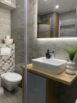 a bathroom with a sink and a toilet at Iris Apartment in Vrnjačka Banja