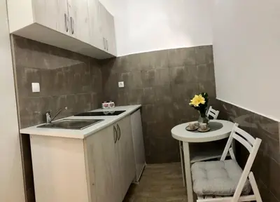 a small kitchen with a sink and a counter at Lovely 1-bedroom condo with available parking in Kraljevo
