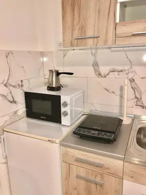 a microwave sitting on top of a counter in a kitchen at Apartman TADIJA Niš in Donja Vrežina