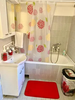 a bathroom with a tub and a sink and a red rug at Apartman TADIJA Niš in Donja Vrežina