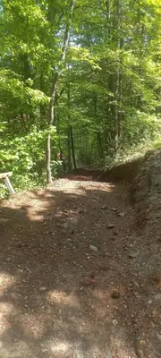 a wooded area with a bench in the woods at Vila Golija in Raška