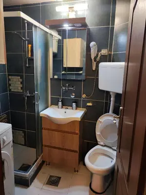 a bathroom with a toilet and a sink and a shower at Centrum Lux Apartment in Niš