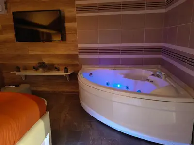 a bathroom with a tub and a tv and a bed at Apartman OGLEDALO in Zaječar