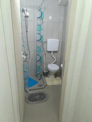 a bathroom with a shower with a toilet in it at Vila Jovana A in Rogljevo