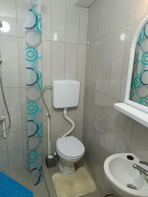 a small bathroom with a toilet and a sink at Vila Jovana A in Rogljevo