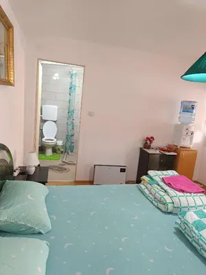 a bedroom with a bed and a bathroom with a shower at Vila Jovana A in Rogljevo