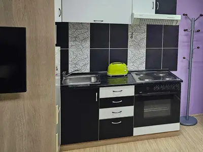 a small kitchen with a stove and a sink at Apartman LENI2 u centru Zajecara in Zaječar