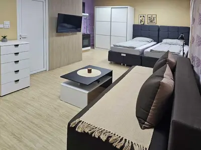 a living room with two beds and a television at Apartman LENI2 u centru Zajecara in Zaječar