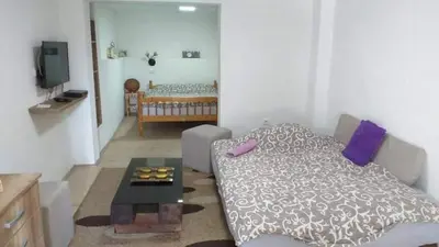 a living room with a bed and a table in it at Apartmani Damjan Vlasinsko jezero in Surdulica