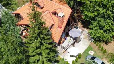 an overhead view of a house with a tree at Apartmani Damjan Vlasinsko jezero in Surdulica