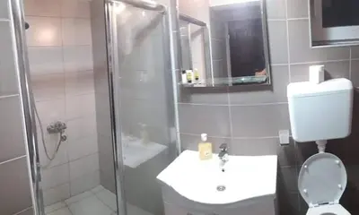 a bathroom with a toilet and a sink and a shower at Apartmani Damjan Vlasinsko jezero in Surdulica