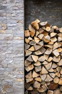 a pile of fire wood on the side of a building at Casa Montana in Kopaonik