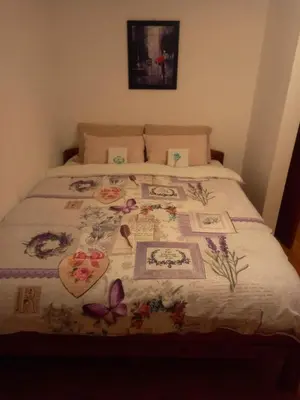 a bed with a blanket with pictures on it at Apartman Simović, Vrnjačka Banja in Vrnjačka Banja