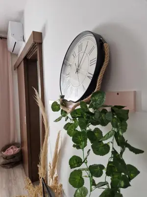 a clock hanging on a wall next to a plant at apartman TARA aqua park in Jagodina