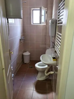 a small bathroom with a toilet and a sink at Big apartman - Free parking in Vranje