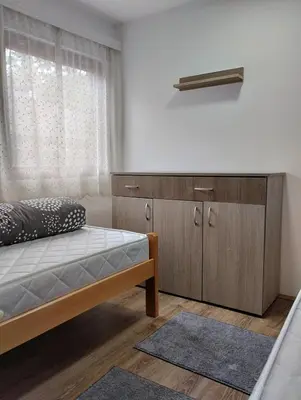 Gallery image of D&M Apartman Dojkinci in Pirot