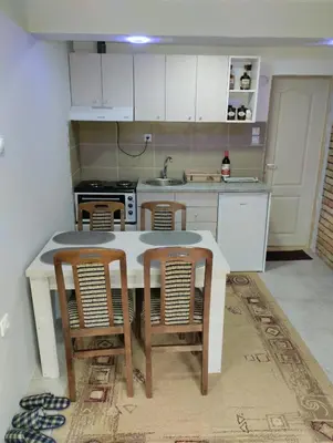 Gallery image of D&M Apartman Dojkinci in Pirot