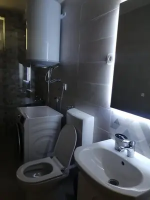 a bathroom with a white toilet and a sink at Apartman Jela in Soko Banja