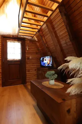 a living room with a couch and a tv at Magareće Mleko Eko Farma Sisevac Wellness&Spa in Paraćin