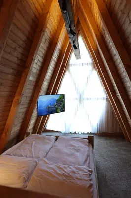 a bed in a room with a window and a tv at Magareće Mleko Eko Farma Sisevac Wellness&Spa in Paraćin