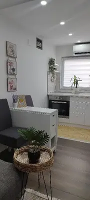 a living room with a couch and a table with a plant at Queen Apartmančić in Zaječar