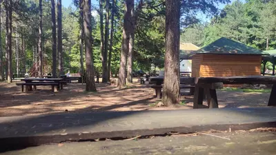 a group of picnic tables and a cabin in the woods at Soba Soko in Soko Banja
