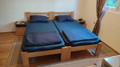 a bedroom with two beds with blue pillows at Soba Soko in Soko Banja