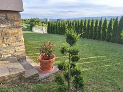 a plant in a pot next to a yard at Apartmani Milosavljević in Kuršumlija