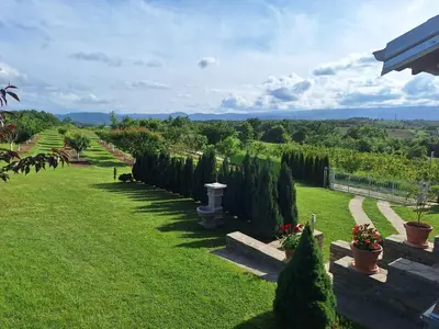 a garden with bushes and trees and a green lawn at Apartmani Milosavljević in Kuršumlija
