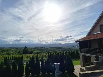 a view of a vineyard from a house with trees at Apartmani Milosavljević in Kuršumlija