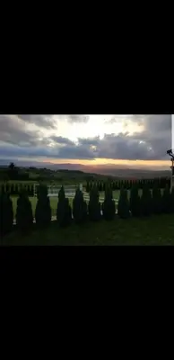 a group of trees in a field at sunset at Apartmani Milosavljević in Kuršumlija