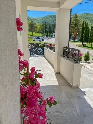 a balcony with pink flowers and a view of a road at Vila Sunset in Soko Banja