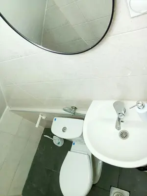 a bathroom with a white toilet and a mirror at Жути Ранац - Žuti Ranac - Yellow Backpack in Boljevac