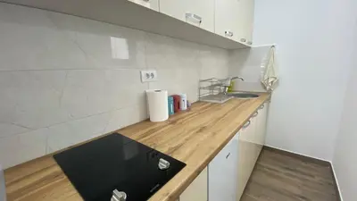 a kitchen with a sink and a wooden counter top at Apartman Ružica Sokobanja in Soko Banja