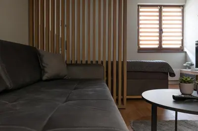 a living room with a couch and a table at Apartman Aleni - Bela Reka, Brzeće in Brzeće