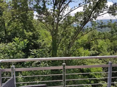a bench next to a fence with a tree at Perla Lux in Vrnjačka Banja