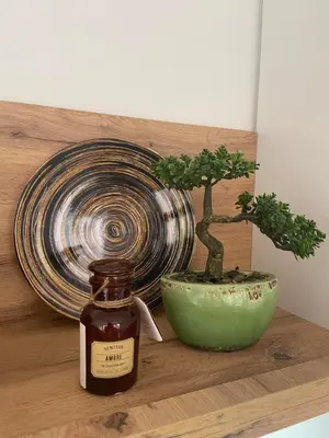 a bottle of whiskey next to a plant and a bowl at Urban Chic Studio in Niš