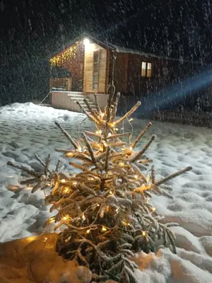 a christmas tree with lights in the snow at Milica 1 Mezdrejska 87 in Kalna