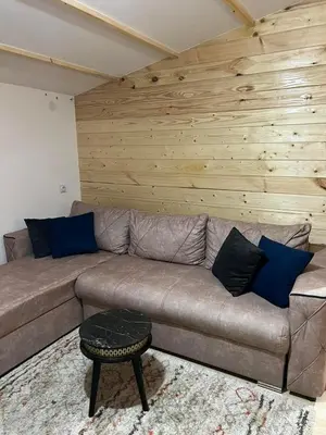 a brown couch in a room with a wooden wall at Milica 1 Mezdrejska 87 in Kalna