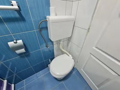 a small bathroom with a toilet and a roll of toilet paper at Apartment Čolović in Raška