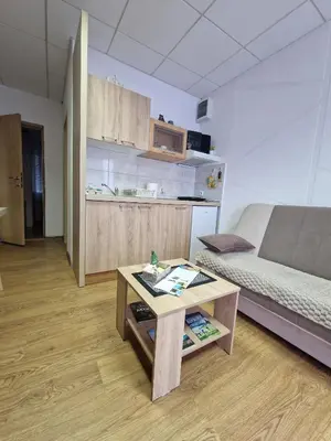 a living room with a couch and a coffee table at Apartment Čolović in Raška