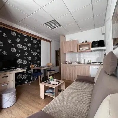 Apartment Čolović