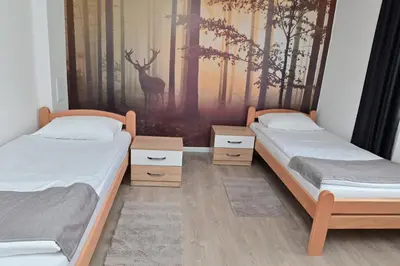two beds in a room with a painting on the wall at Apartmani Homoljsko Jutro ☆☆☆☆ Apartments Homolje Morning ☆☆☆☆ in Žagubica
