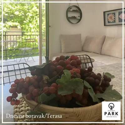 a bowl of grapes on a table in a living room at Apartman Park Promenada in Vrnjačka Banja